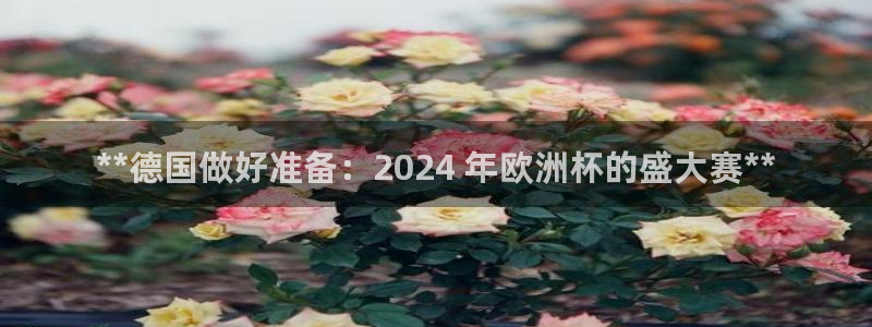 2024正规欧洲杯平台|**德国做好准备：2024 年欧洲杯的盛大赛**