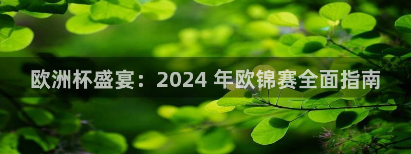 十大靠谱外围买球网站|欧洲杯盛宴：2024 年欧锦赛全面指南