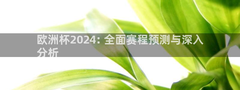 欧洲杯2024下单