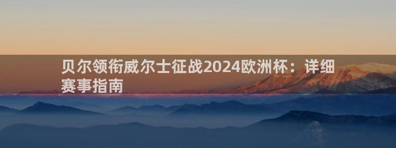 欧洲杯买注在哪买|贝尔领衔威尔士征战2024欧洲杯：详细
赛事指南