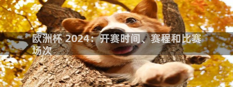 2024欧洲杯竞猜网址